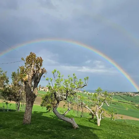 Vakantiehuis Inviting In With Swimming Pool San Costanzo