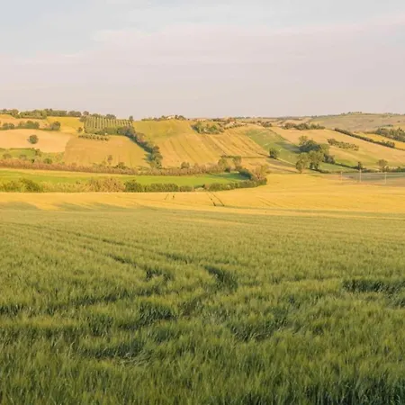 Vakantiehuis Inviting In With Swimming Pool San Costanzo