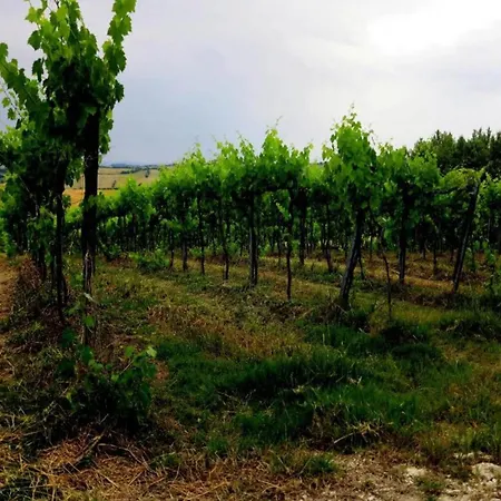 Inviting In With Swimming Pool * San Costanzo