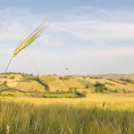 Inviting In With Swimming Pool